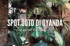 kopi.qyanda_489746804_17953780472935990_5679901476528834487_n